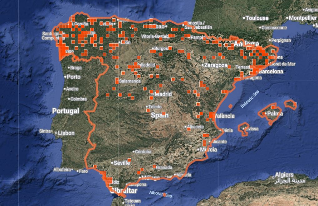 Distribución de Leptinotarsa decemlineata en España. Fuente: iNaturalist.