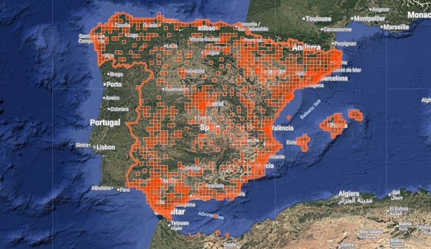 Distribución de S. fonscolombii en España peninsular e islas Baleares. Fuente: iNaturalist.