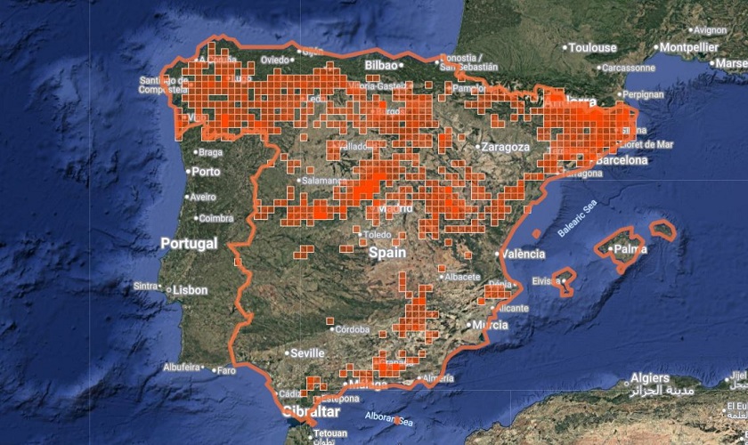 Distribución de Melanargia lachesis en España peninsular. Fuente: iNaturalist.