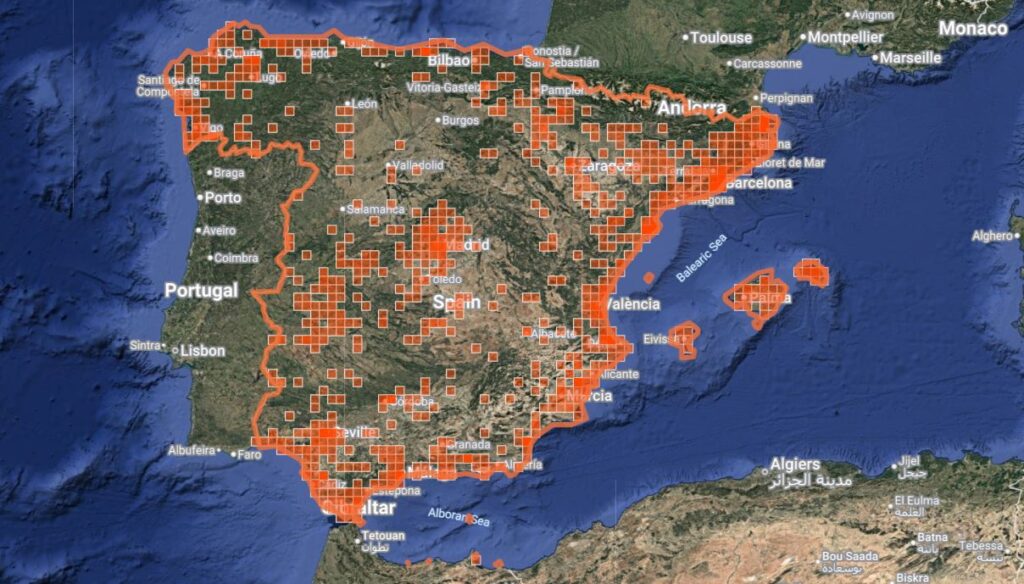 Distribución de Crocothemis erythraea en España peninsular e islas Baleares. Fuente: iNaturalist.