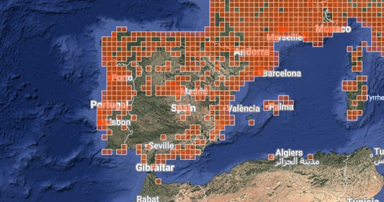 Distribución de L. occidentalis en la península ibérica.