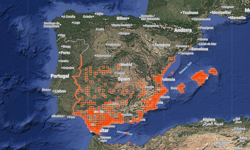 Distribución de Sphodromantis viridis en la península ibérica e islas Baleares. Fuente: iNaturalist.