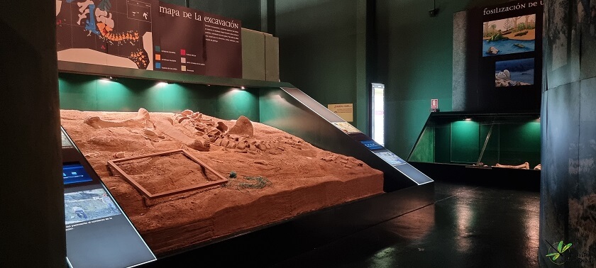 Mapa de la excavación