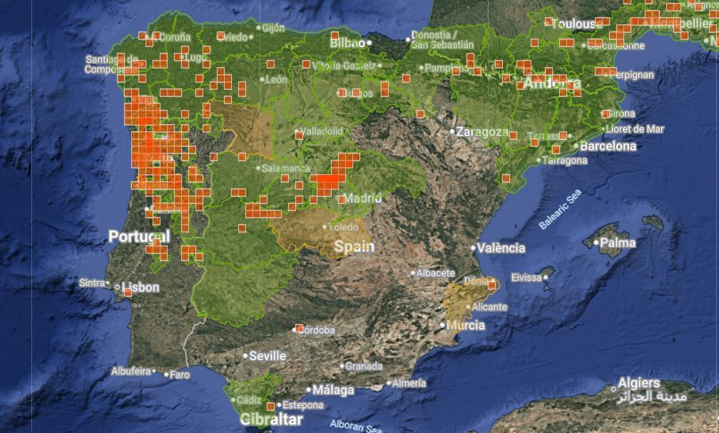 Distribución de Lytta vesicatoria en la península ibérica. Fuente: iNaturalist.