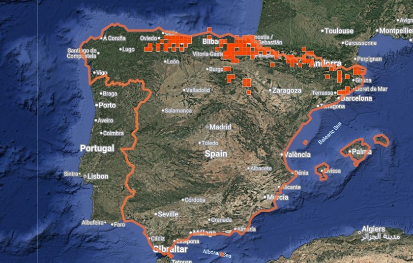 Distribución de R. alpina en España. Fuente: iNaturalist.