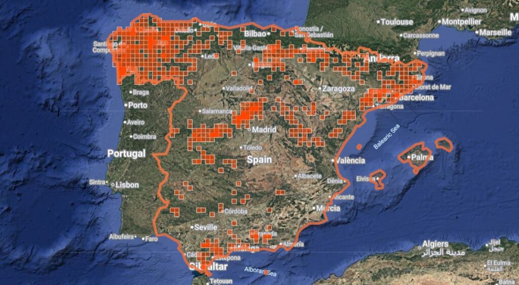 Distribución de E. aurinia en España peninsular. Fuente: iNaturalist.
