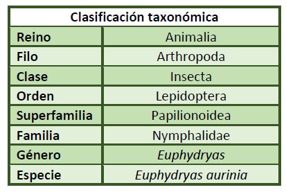 Clasificación taxonómica Euphydryas aurinia.