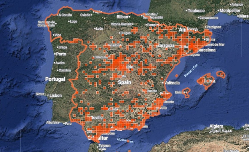 Distribución de Ameles spallanzania en España. Fuente: iNaturalist.