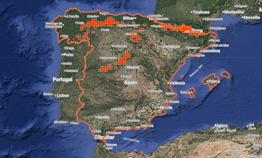 Distribución de Lycaena virgaureae en España. Fuente: iNaturalist.