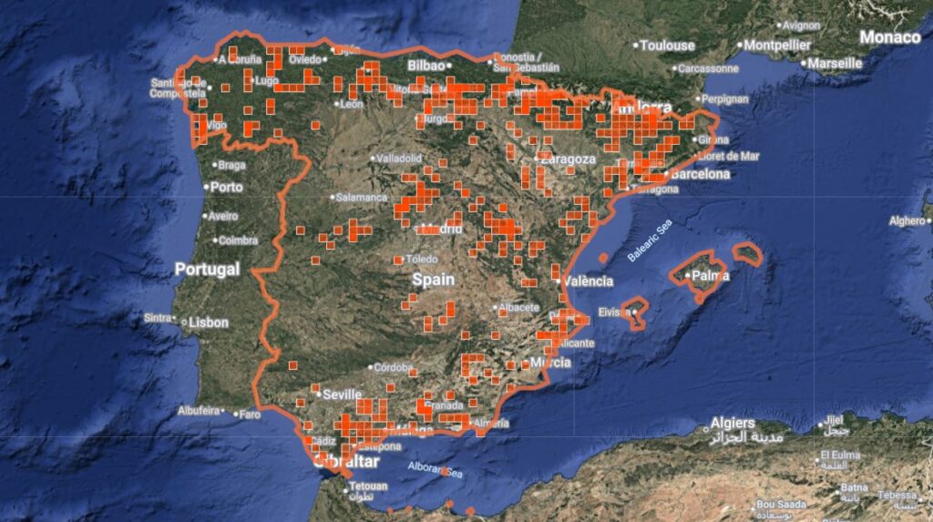 Distribución de S. spini en España peninsular. Fuente: iNaturalist.